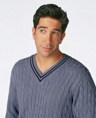 Friends  David Schwimmer  8x10  Photo