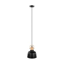 Image of Eglo 49692 BODMIN pendant light