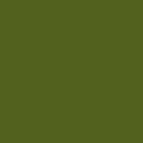 Shoe Paint Dye Colour Restorer Kit - Leather Fabric - 12 Colours - Shoe Clinic - Picture 8 of 19