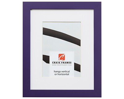 Craig Frames Confetti, 0.875'' Purple Solid Wood Picture Frame With a Single Mat