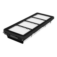 Filtron AP 198/6 Luftfilter