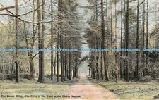 R433767 The Lickey Hills The Drive in the Wood at the Lickey Warren The Messenge