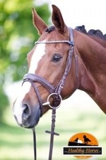 Trense "Sophie" braun - anatomischer Ohrenausschnitt ohne Stirnriemen mit Zügel