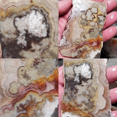 Crazy Lace Agate Laguna Lace Agate Banded Mexico Flower Bullseye Sagenite Needle
