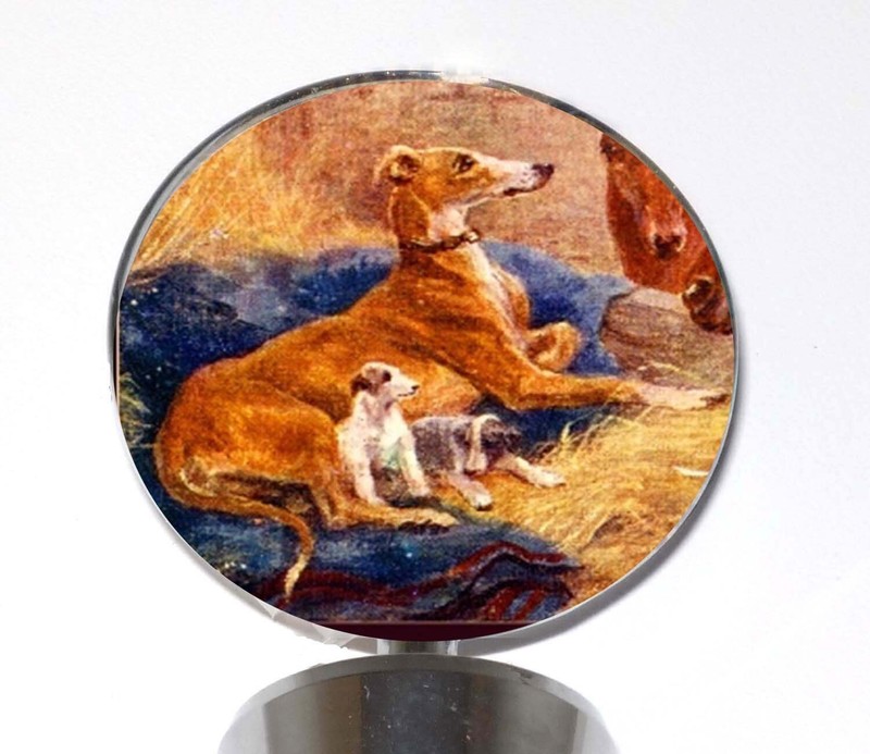 Whelping Greyhound Dog + Puppies Wine Bottle Stopper Whippet IG