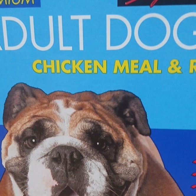 Adult Dog Food