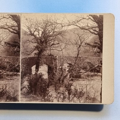 Drewsteignton Stereoview 3D um 1925 Echtfoto Single Bridge Fluss Teign Devon
