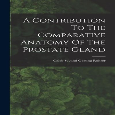 A Contribution To The Comparative Anatomy Of The Prostate Gland C