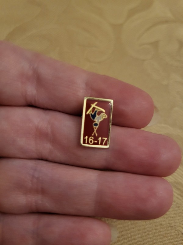 Ski Club Pin With Skiier, Enamel, 16-17, Goldtone