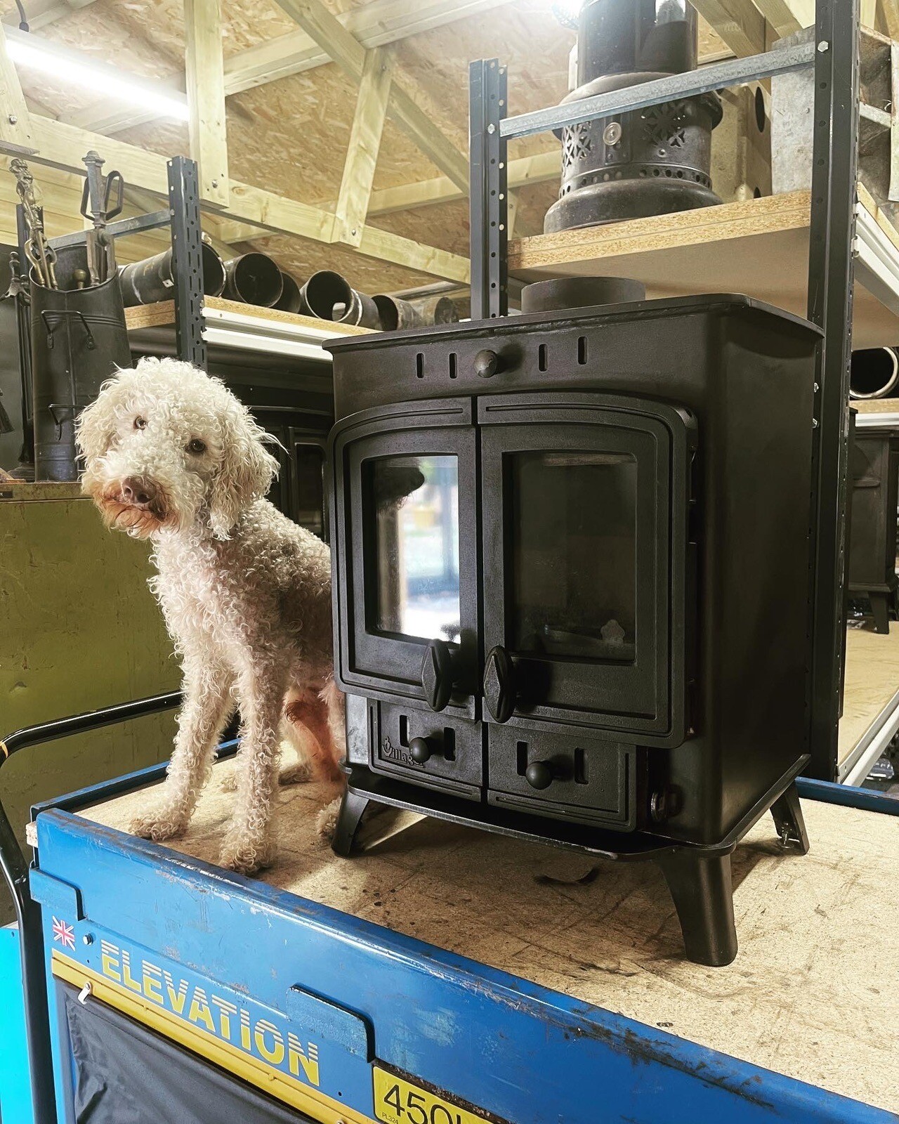 🔥 FULLY RESTORED cast iron “ARADA VILLAGER V5-DUO” 5kw Multi fuel stove 🔥  | eBay