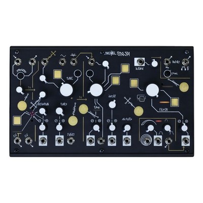 MAKE NOISE STREGA : NEW : [DETROIT MODULAR]