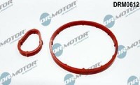 Original Dr.Motor Automotive Dichtungssatz Unterdruckpumpe DRM0612 FüR CitroëN