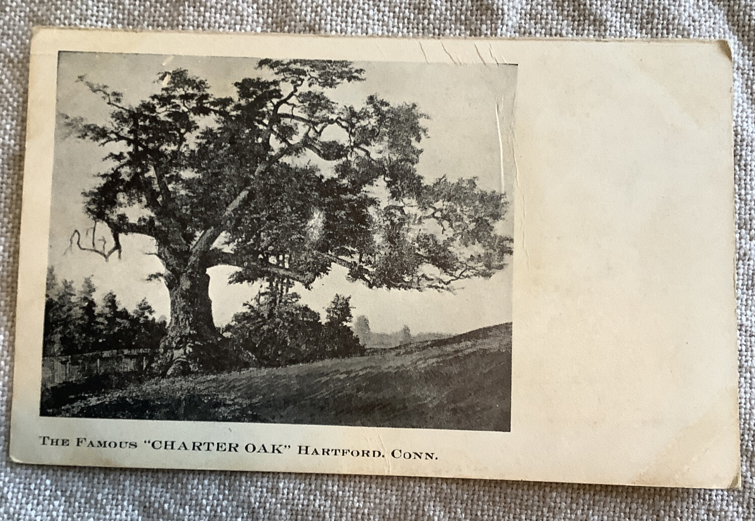 Vintage a Undivided Beth Postcard charter Oak tree Hartford Connecticut