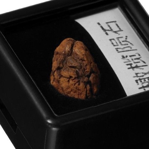 Lithosiderite Sample Irregular Meteorite Science Teaching Material Meteorite - Picture 10 of 12