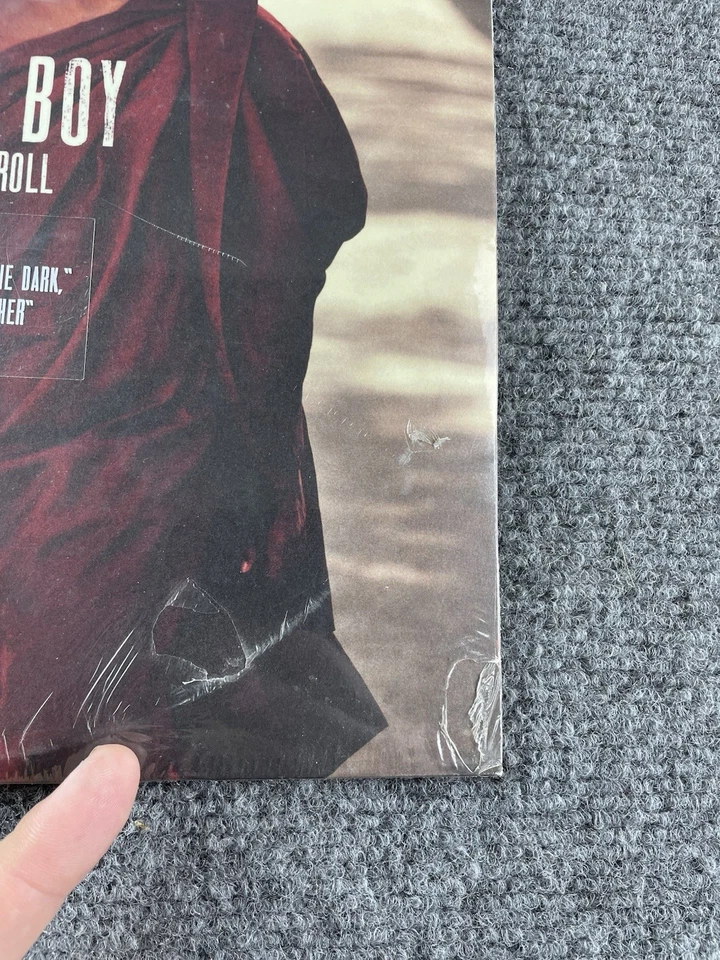 NEW Fall Out Boy Save Rock And Roll 10” Red Color Vinyl Record Gatefold 2LP READ - Image 2 of 4