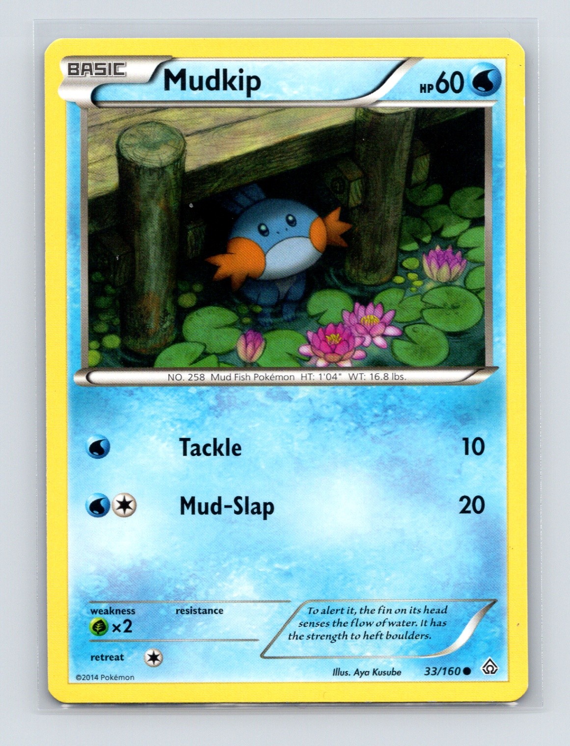 Pokémon TCG Mudkip 33/160 XY - Primal Clash Normal LP