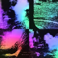Luke Abbott - Wysing Forest - Vinyl Record 12 Record - F123Z