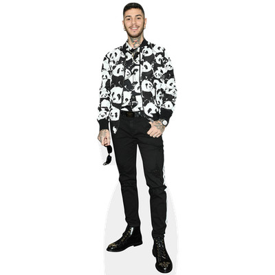 Emis Killa (Pandas) lebensgroßer Ausschnitt