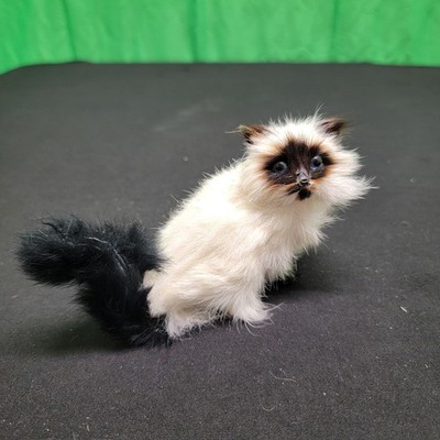 Vintage Realistic Long Haired Siamese Cat Figurine Hard Body Soft Rabbit Fur 