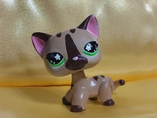 Lps Littlest Pet Shop Hand Painted Custom cat