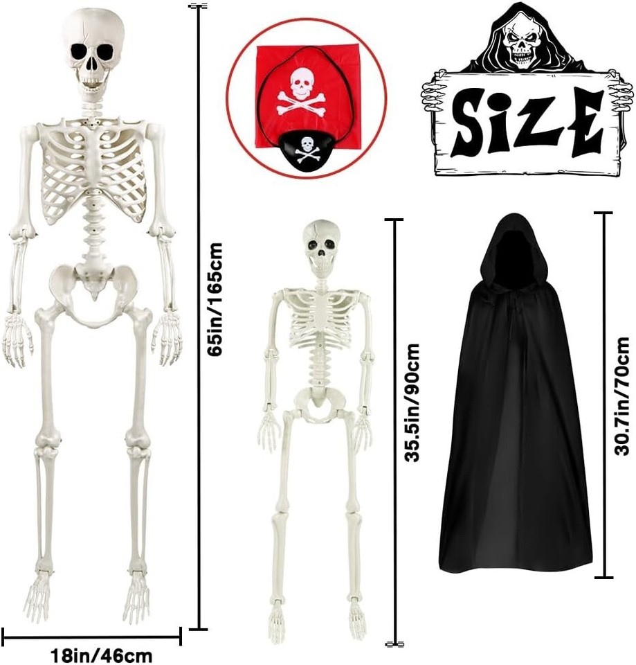 Halloween Life Size Human Skeleton,Halloween Full Body Posable Human Skeleton eBay