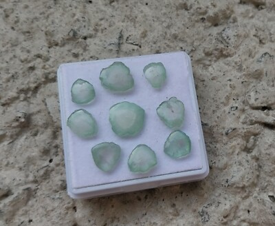 16.5 Ct Natural Light Green Color Tourmaline Smooth Slice 9 Piece Lot Gemstone