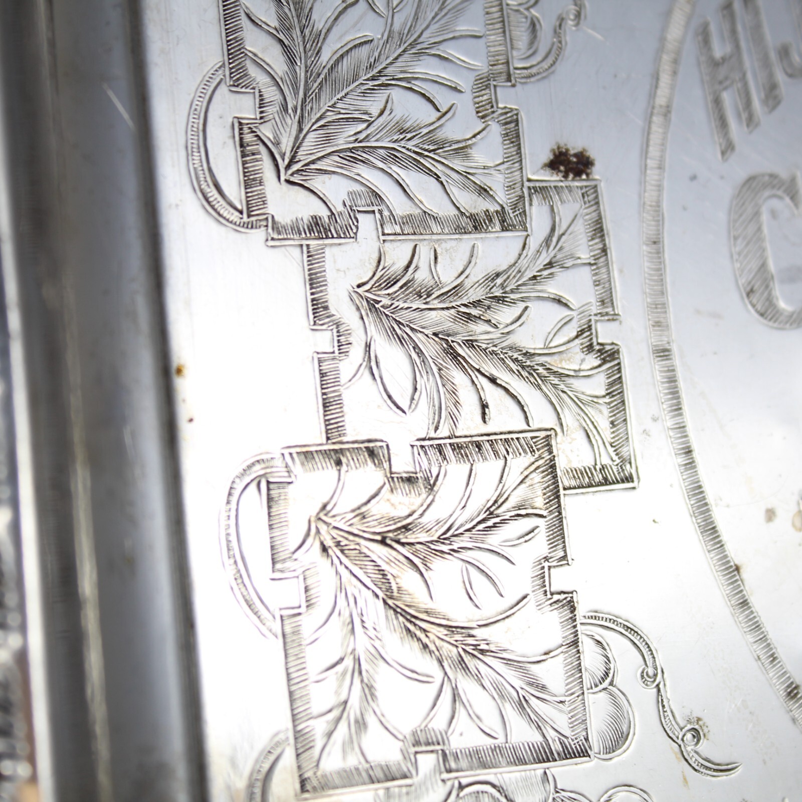 Picture 5 of 5