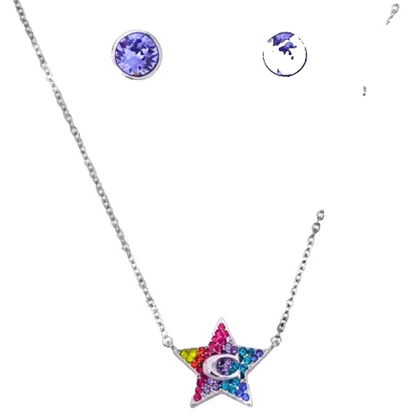 Joyería de moda amatista Coach