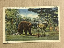 Postcard Humor Little Dear Deer Bare Bear Behind Animals Posted Sayner WI