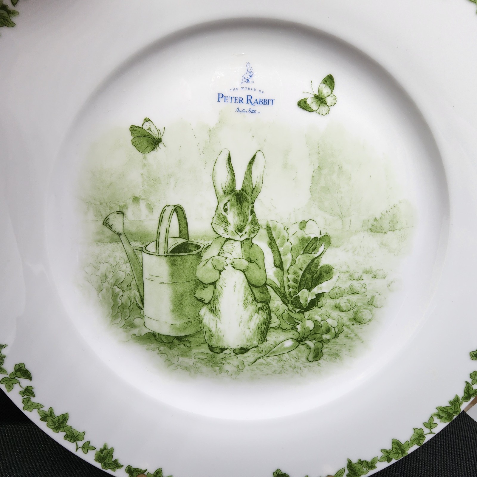 8 World of Beatrix Potter Green Ivy Peter Rabbit 10.5