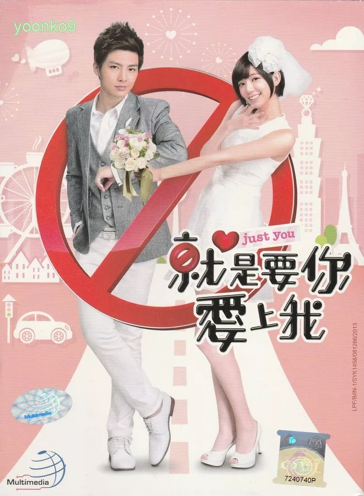 Chinese drama ：Love is Tour 我是我真的爱你 6/DVD-9 All Region