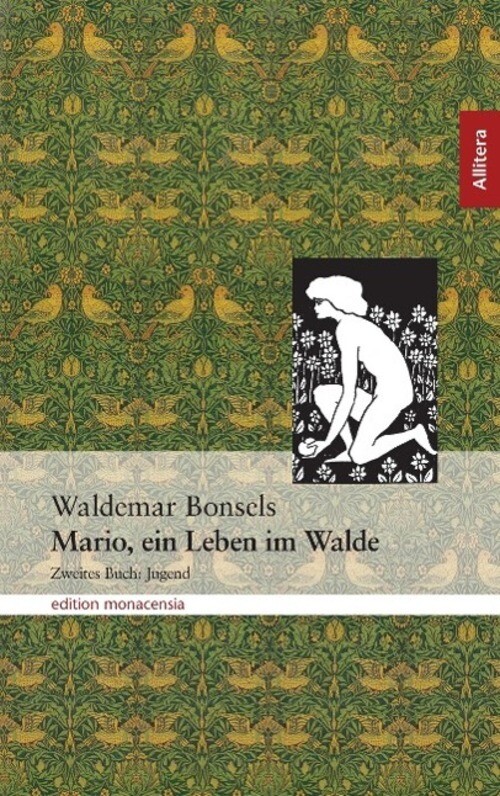 Thumbnail - Mario, Ein Leben Walde Zweites Buch: Jugend Waldemar Bonsels