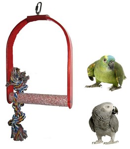 large parrot swings