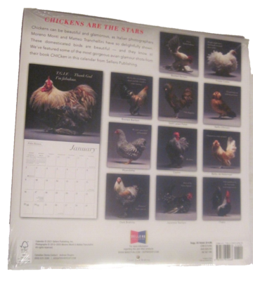 Glamour Chicks 2022 Wall Calendar Chickens 16 Month Sellers Publishing NEW  | eBay