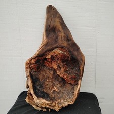 Bonfire Burl Woodworking Wood Carving DIY