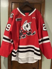 2023/24 Niagara Icedogs Alexey Kulikov #29 OHL Game Worn Jersey w/ Team Tagging