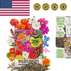 Butterfly & Hummingbird Seed Mix - 2 Oz Wildflower Seeds, 23 Varieties