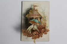 19th century chromolithograph image, doves diorama (49576)