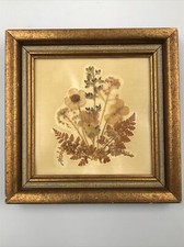 Vintage Gold Framed Pressed Real Flowers