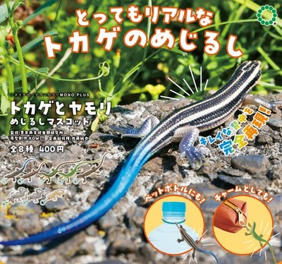 Nature Technicolor MONO PLUS Lizard and Gecko Sign Mascots Set of 8 capsule 201Y