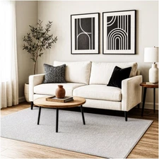 Koeckritz Modern Soft Silver Area Rug - for Living Rooms, Bedrooms & Home Décor