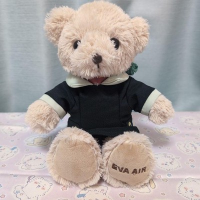 EVA Air Limited Edition Teddy Bear Rare Official Airline Collectible Plush Toy