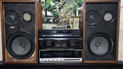 Acoustic Research AR-2ax Vintage Audiophile Speakers ( Pro Re-foamed )
