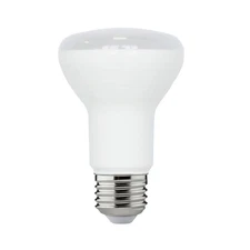 75-Watt Equivalent R20 Dimmable Energy Star LED Flood Light Bulb Bright White