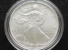 2006-W Burnished American Silver Eagle Dollar 1 Troy Ounce U.S. Coin D5041