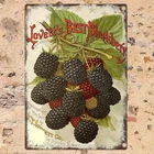 1pc Lovett's Best Blackberry Vintage Tin Metal Signs, 8x12 inches, Retro Iron Wa