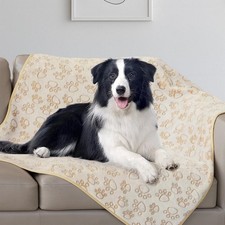 Stuffed Premium Soft Dog Blanket, with Flannel Beige Cute M 32x40" ,