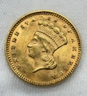 1874-P Indian Princess Head Gold Dollar $1 Type 3 Large Head US Gold Type Coin