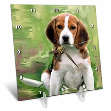 3dRose LLC Beagle Puppy Desk Clock, 6 by 6-Inch 6x6 Desk Clock