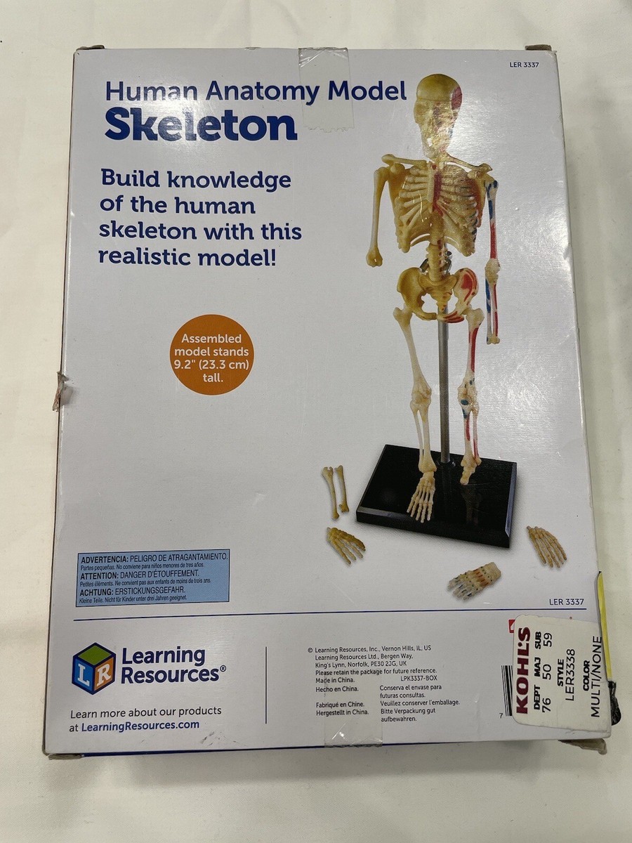 Learning Resources STEM Human Anatomy Skeleton 9.2